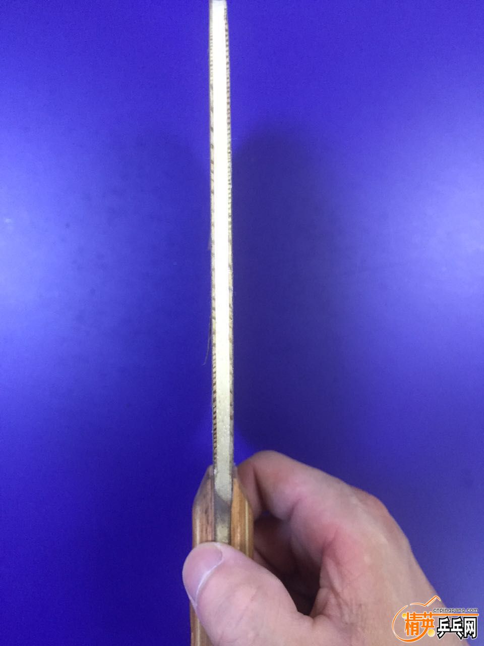 ˹ٿѽ5.4