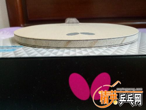 IMG20160704111314.jpg