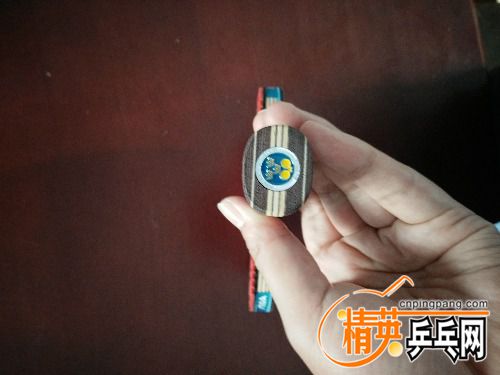 IMG20160706090731.jpg