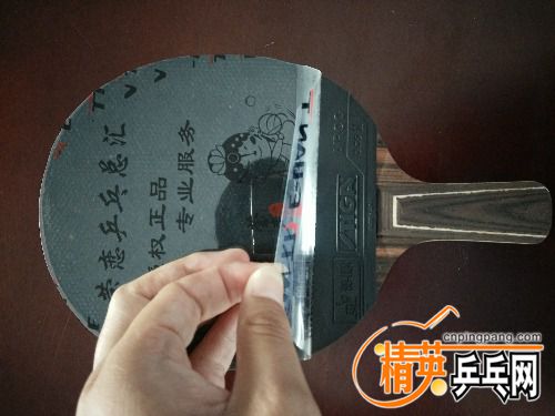 IMG20160706090718.jpg