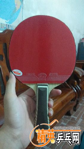 IMG_20160622_193108.jpg