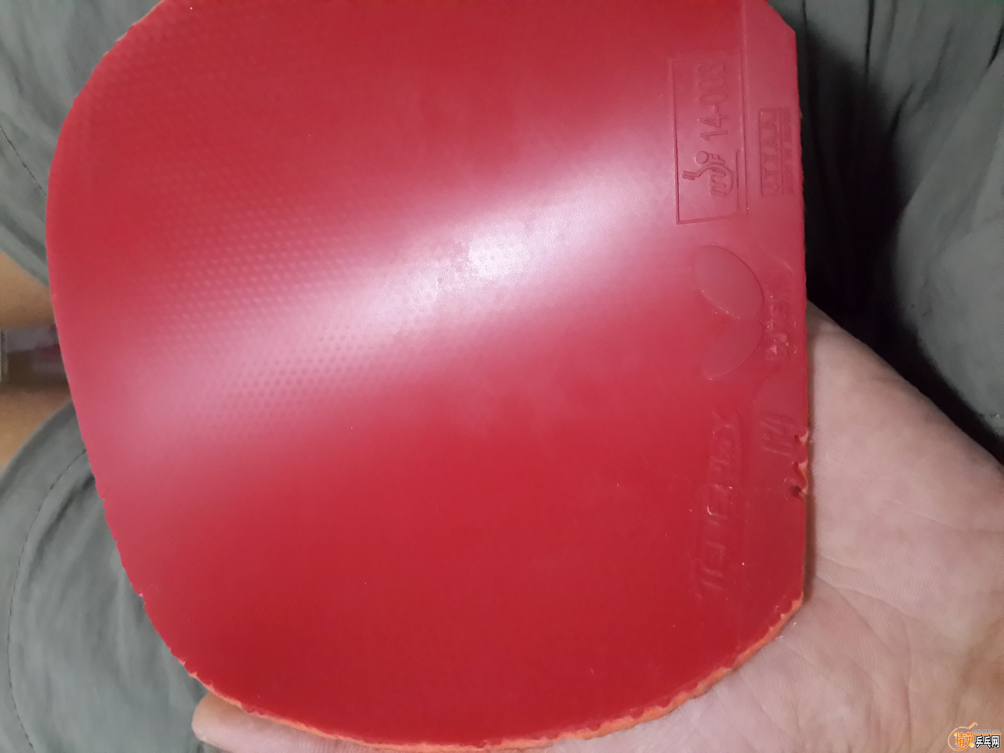 20160706_222331.jpg