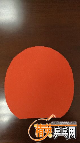 IMG_20160707_134149.jpg