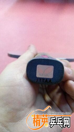 IMG_20160708_112833.jpg