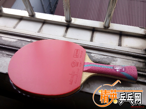 IMG_20160710_094151.jpg