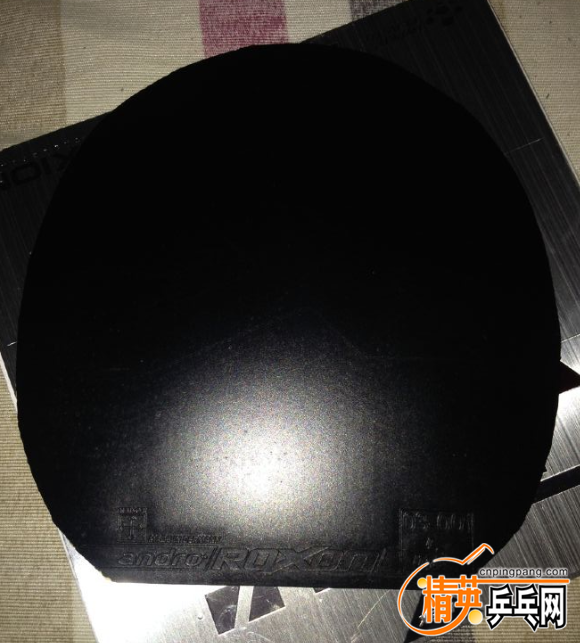 ����500 1.png