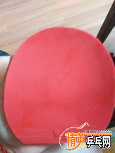 IMG_20160715_115625.jpg