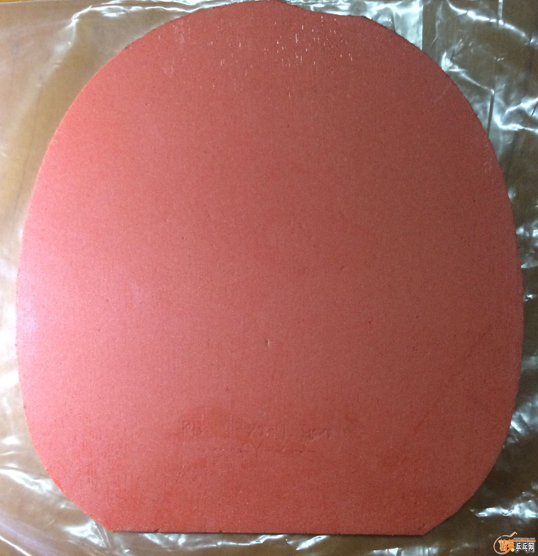 FullSizeRender(5).jpg