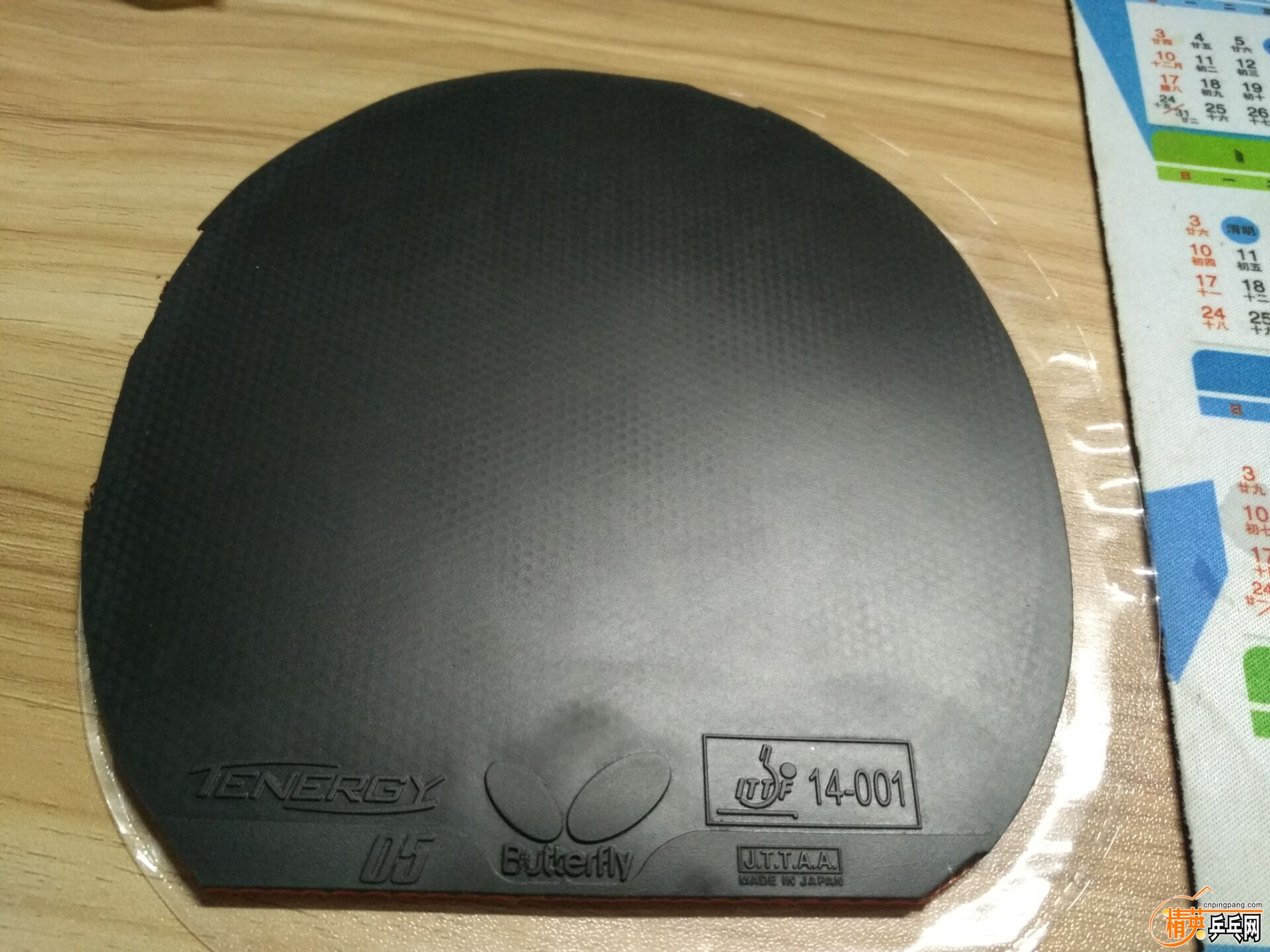 T 05  01.jpg