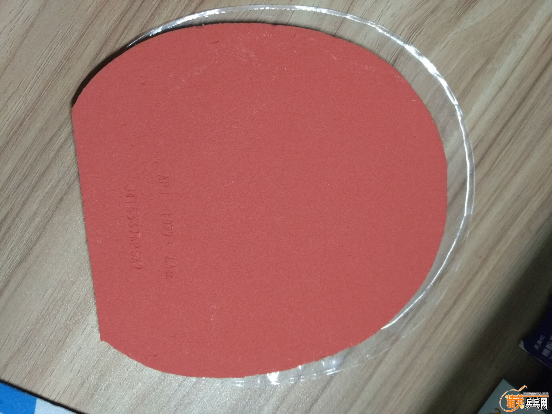 T05  02.jpg