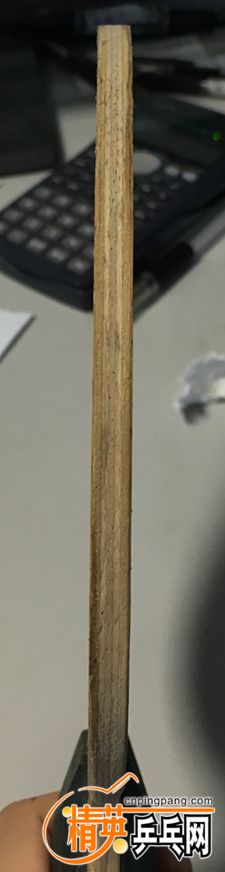 IMG_1875_.jpg