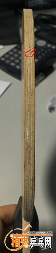 IMG_1874_.jpg