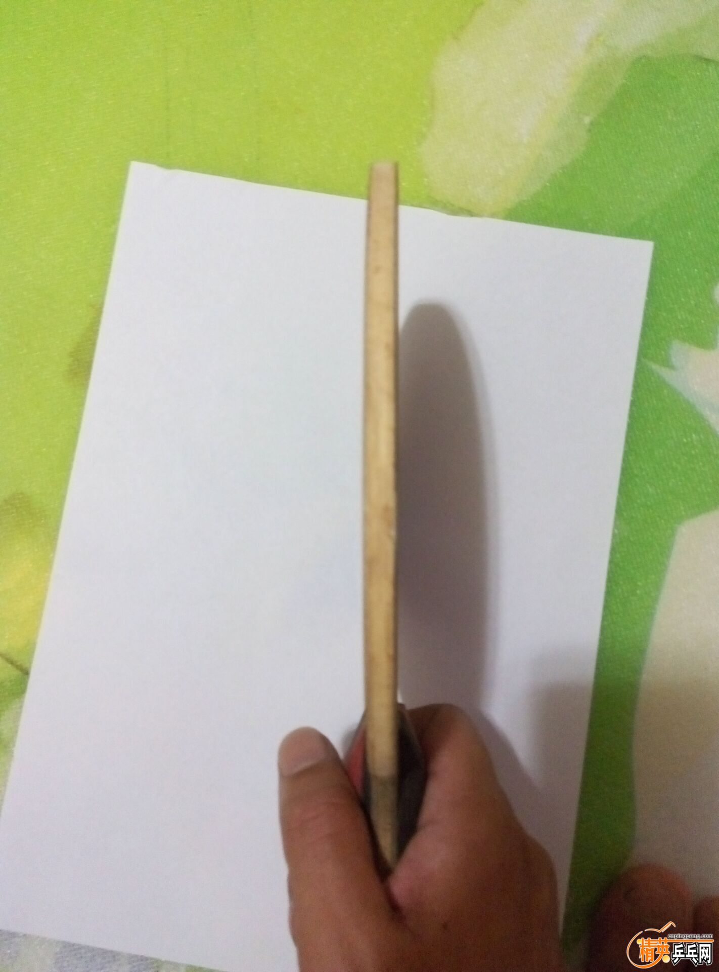 11.jpg