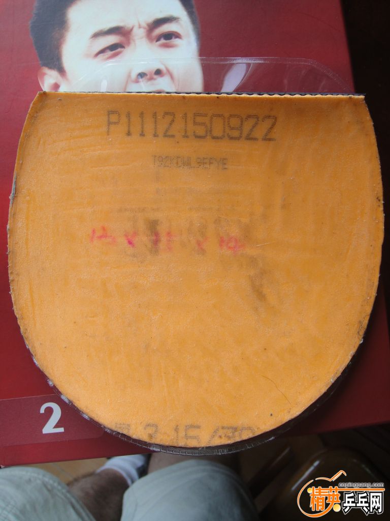 DSC03399.JPG