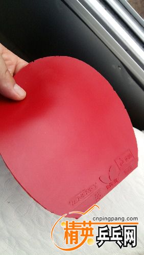 20160725_182613.jpg