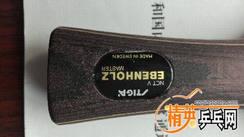 IMG_20160726_115500.jpg