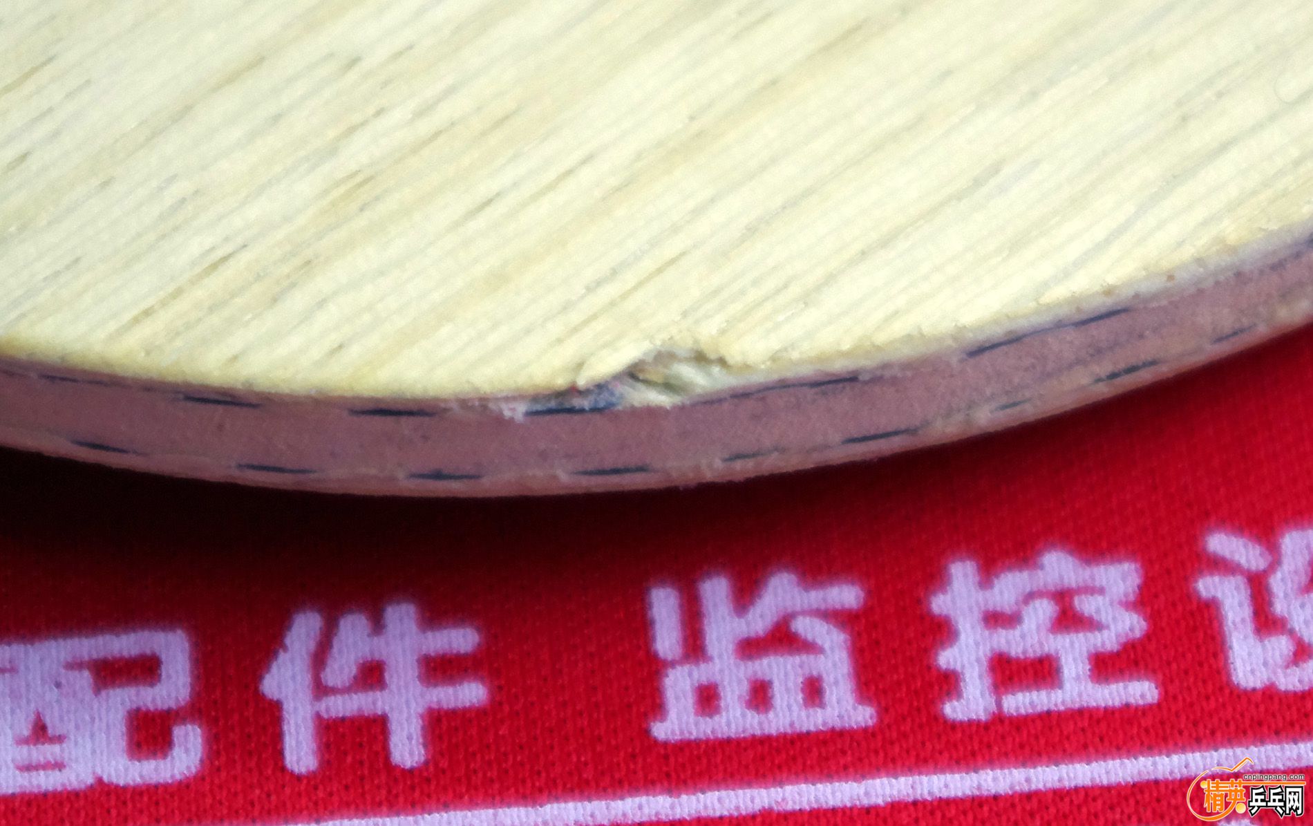 IMGP6219.JPG