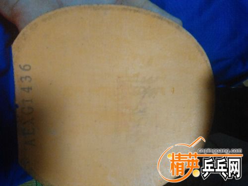 IMG_20160727_185527.jpg