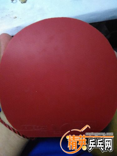 IMG_20160726_194843.jpg