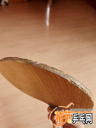 IMG_20160728_111156.jpg