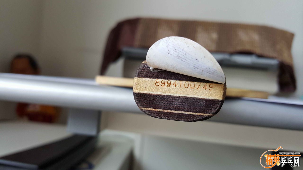 20160729_124408.jpg