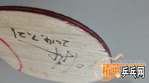IMG_20160730_092731.jpg