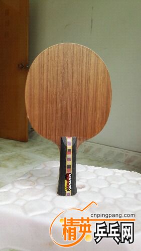 IMG_20160730_135219.jpg