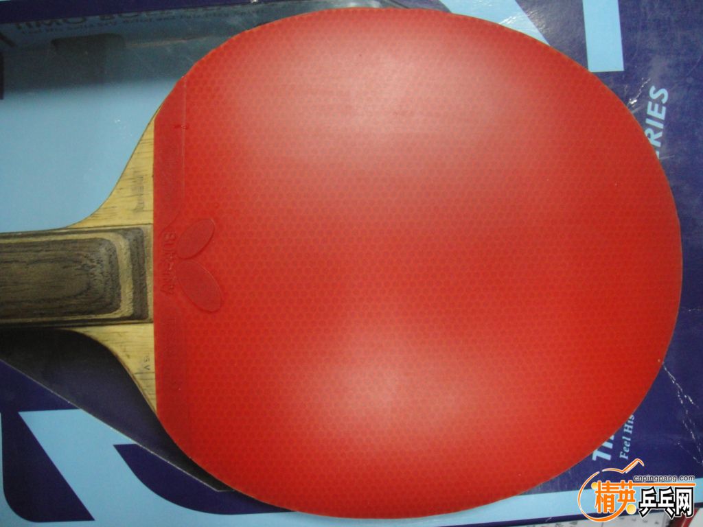 DSC03440.JPG