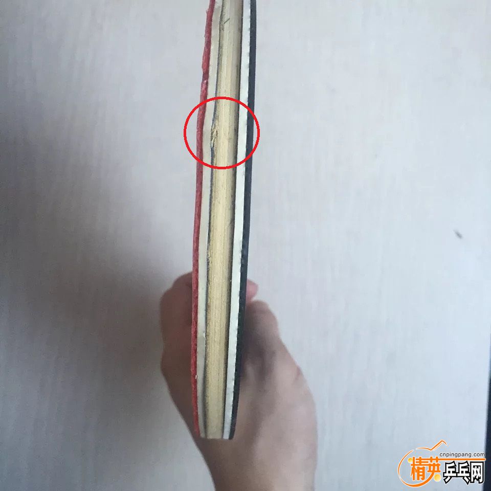 5.JPG