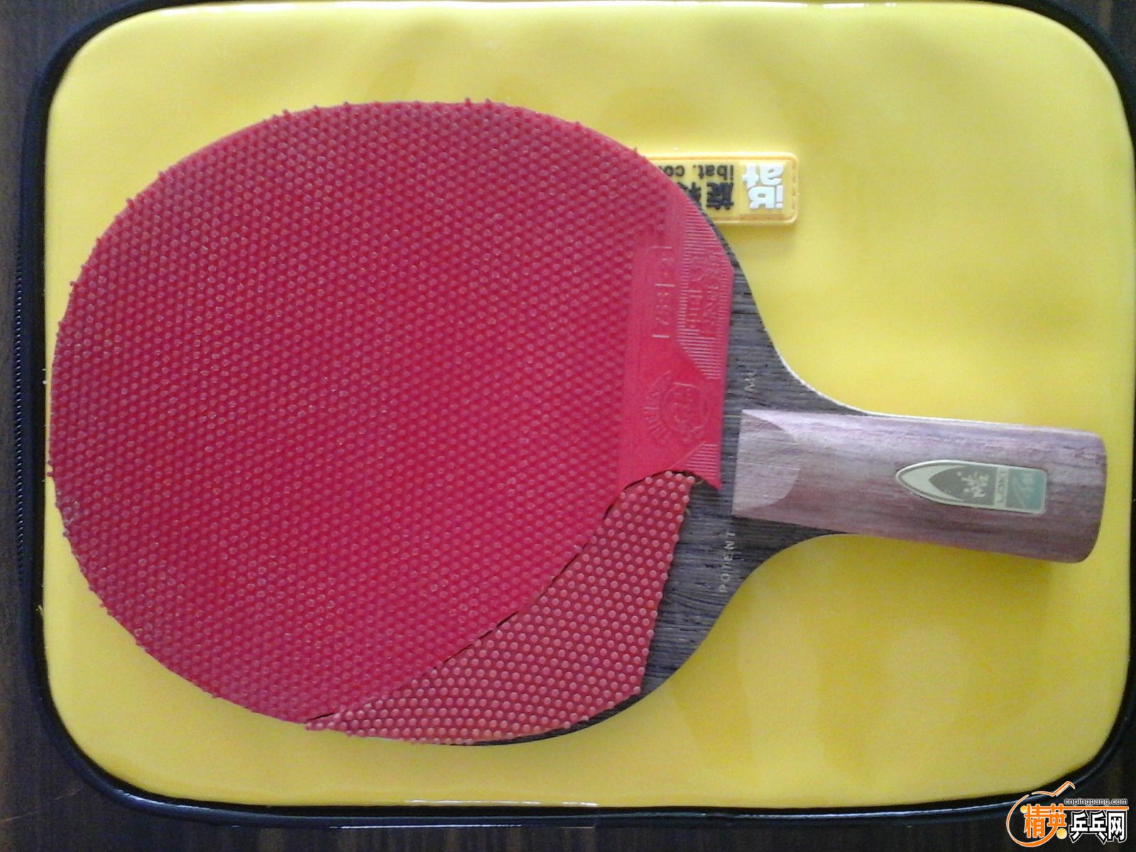 20160727_102258.jpg