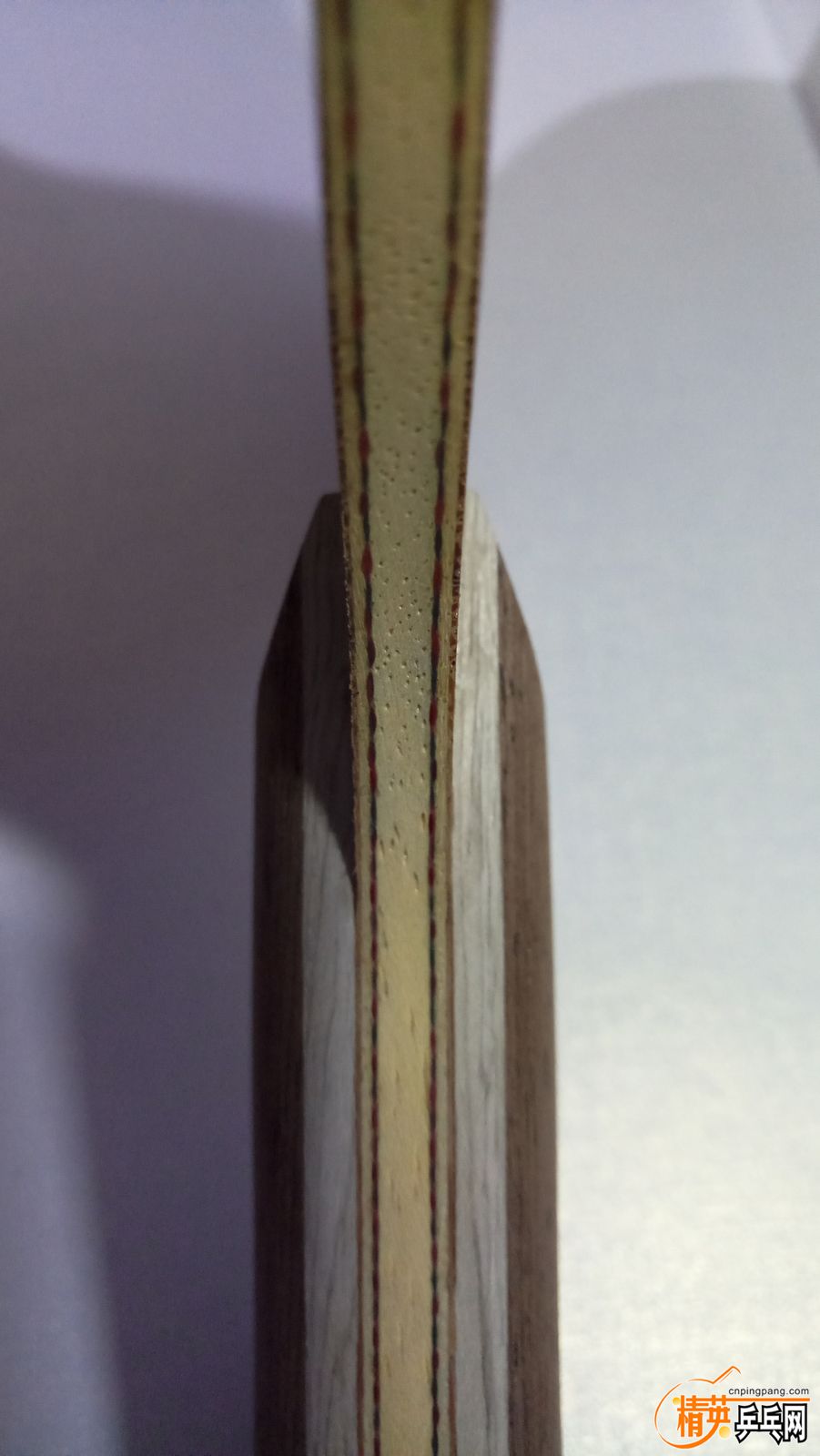 P60802-221743.jpg