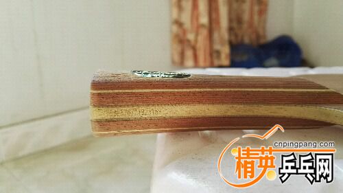IMG_20160805_162312.jpg