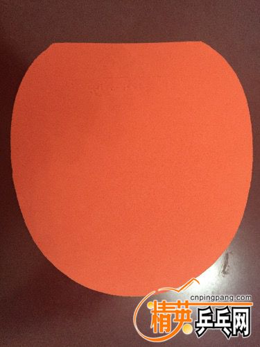 image.jpeg