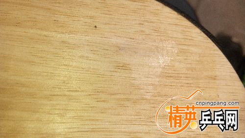 IMG_20160810_092221.jpg