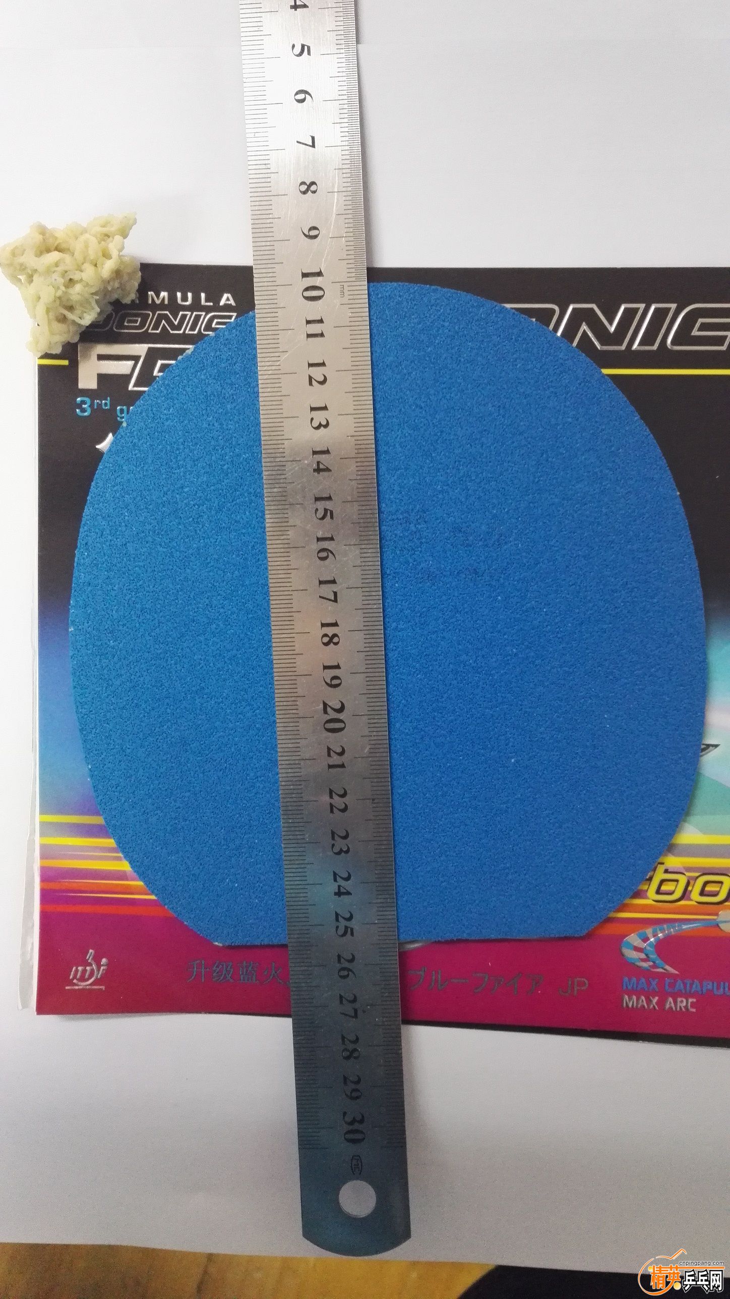 .jpg