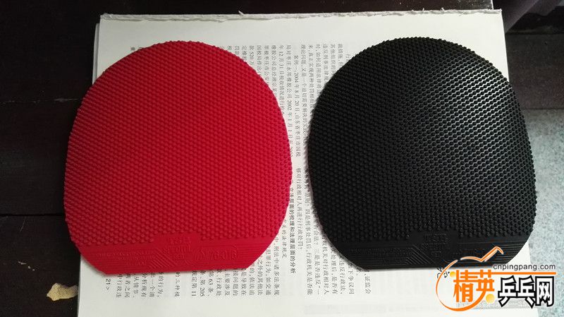 IMG_20160822_083933.jpg
