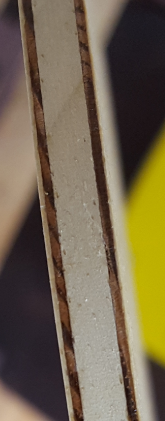 QQͼ20160826161627.png