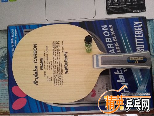 IMG_20160820_144132.jpg