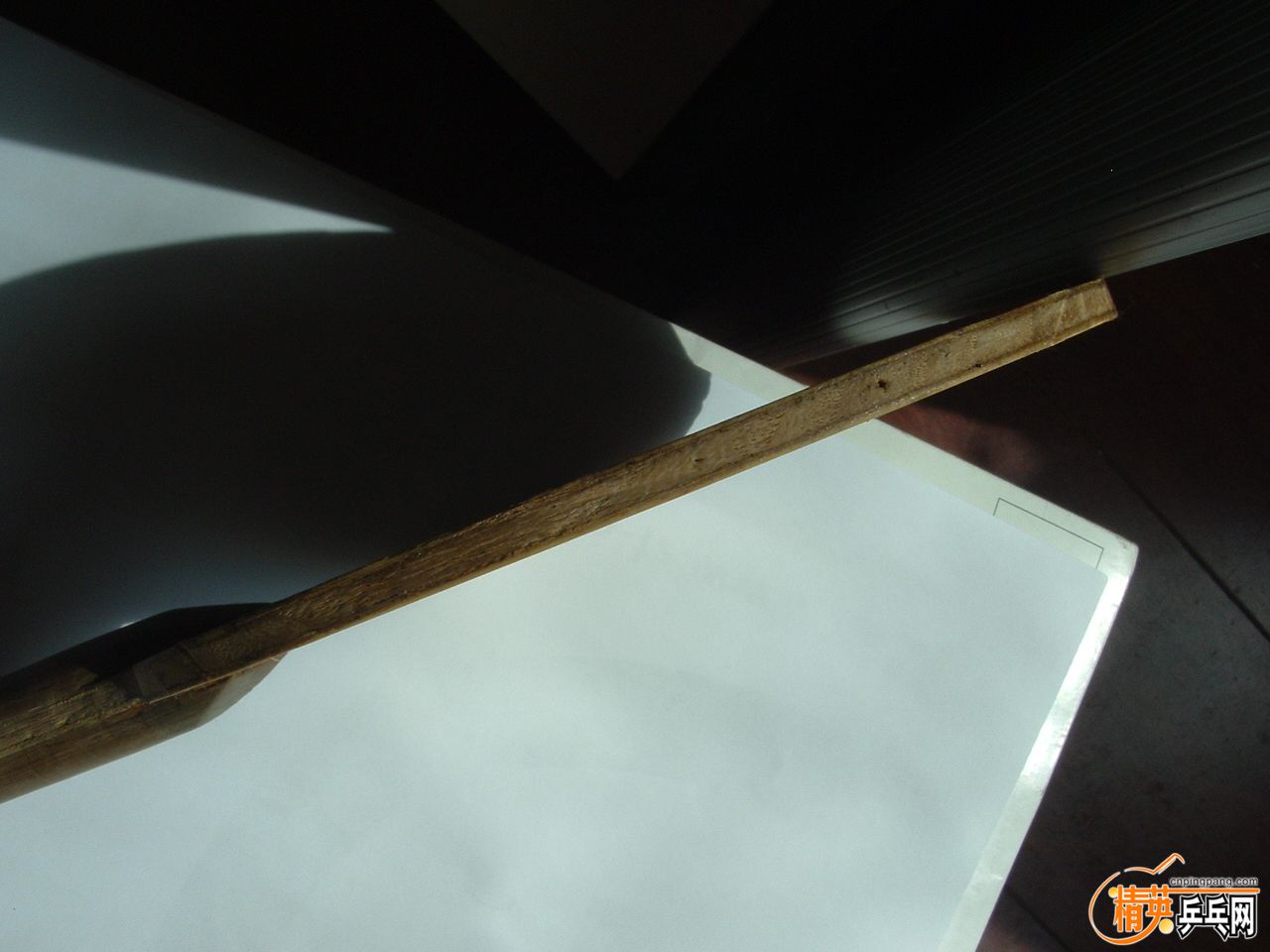 DSCF0895.JPG