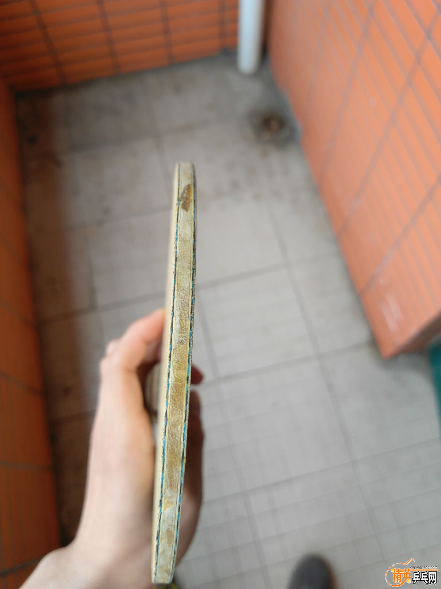 D6FDCC6D82762A775EDD898B8E3F79F5.jpg