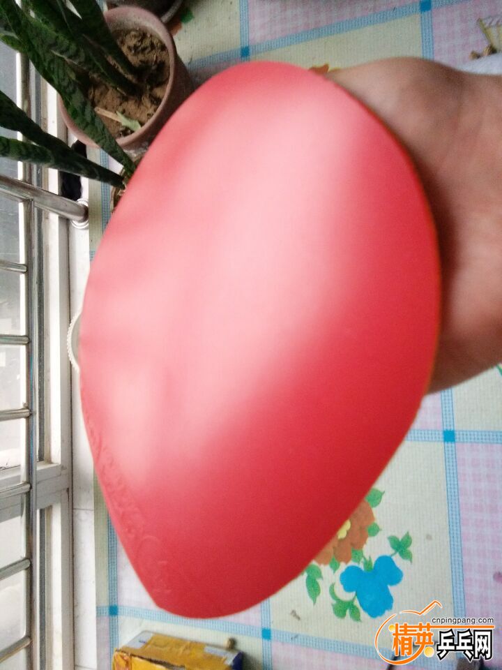 QQͼƬ20160902170509.jpg