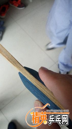 IMG_20160902_141124.jpg