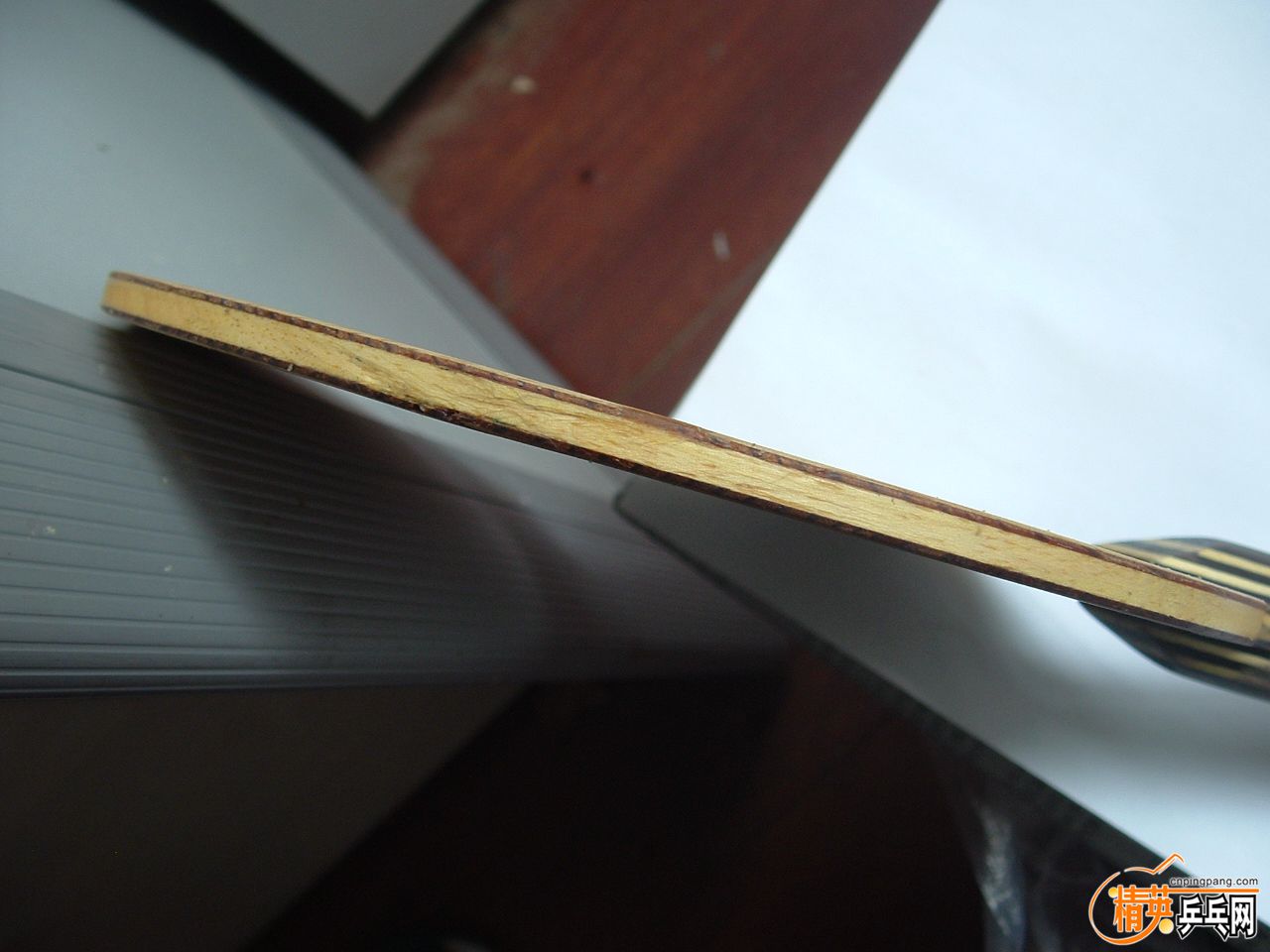 DSCF0931.JPG