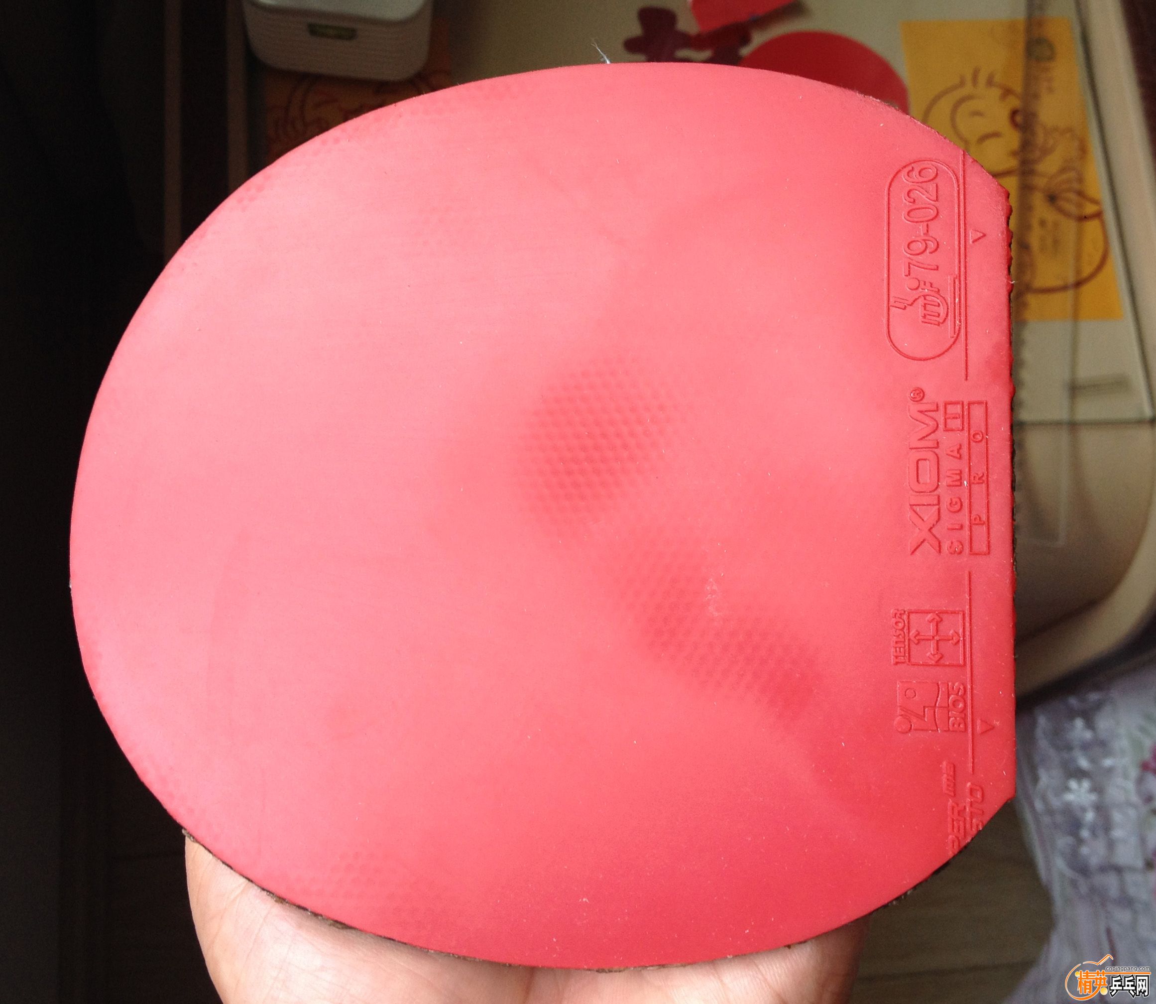 ������PRO2