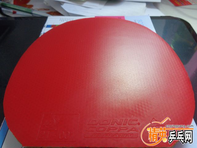 DSC01011.JPG