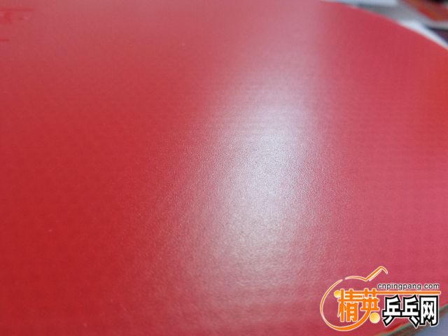 DSC01014.JPG