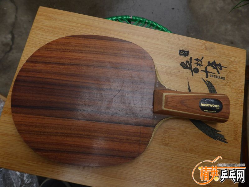 P1020404 (800x600).jpg