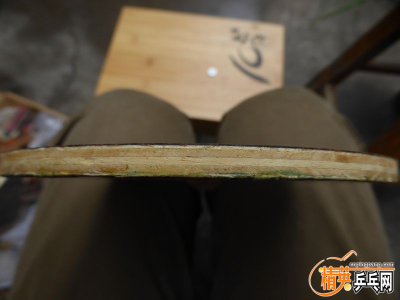 P1020406 (800x600).jpg