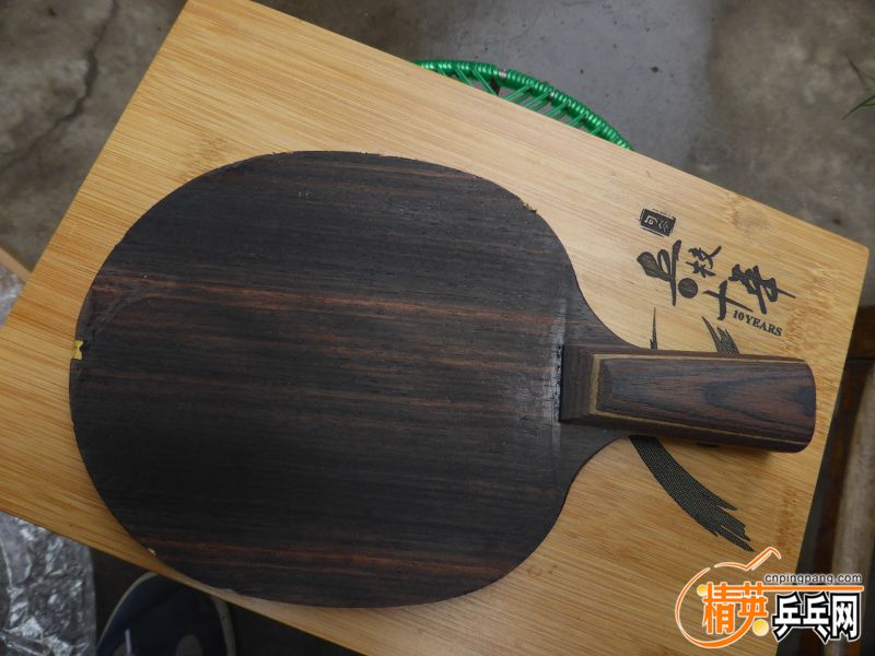 P1020413 (800x600).jpg