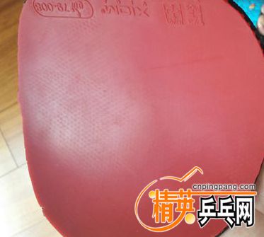 IMG_20160909_141819.jpg